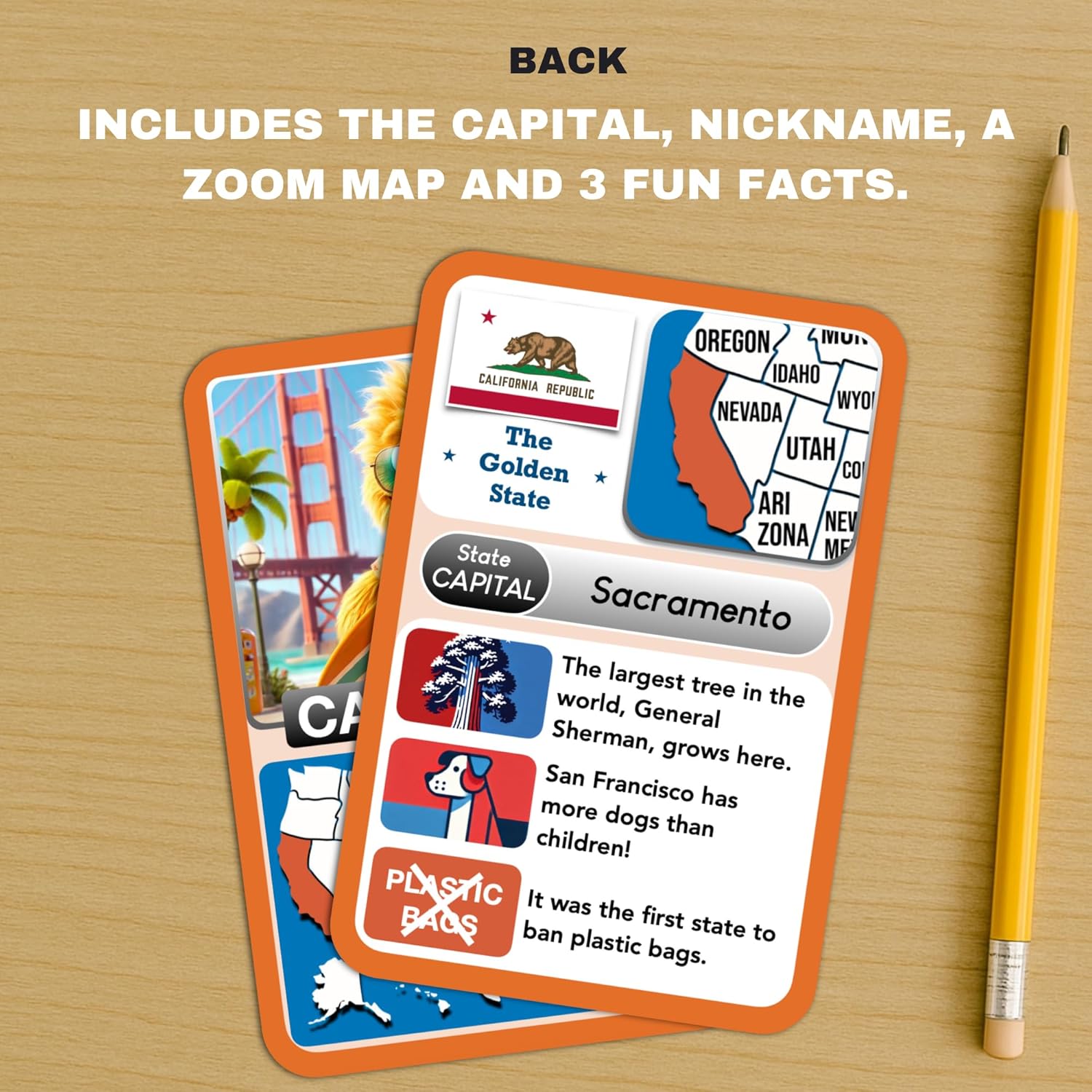 States Explorer – USA State Flashcards for Kids Ages 6+ | 50 United States Cards with Fun Facts, Capitals, Maps & Characters | Educational Geography Game | Perfect for Homeschool, Classroom & Travel